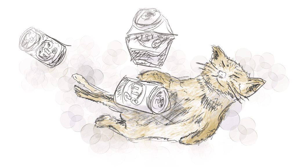 Illustration of a cat with beer