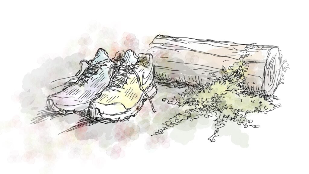 Illustration of a pair of running shoes next to a log with moss growing on it