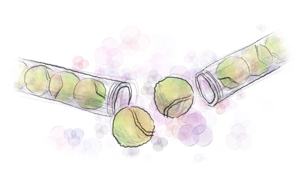 Illustration of tennis ball containers